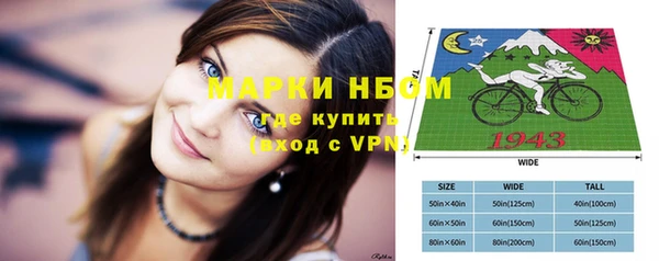 ПСИЛОЦИБИНОВЫЕ ГРИБЫ Арсеньев