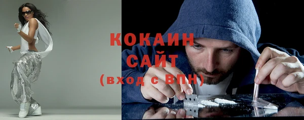 ПСИЛОЦИБИНОВЫЕ ГРИБЫ Арсеньев