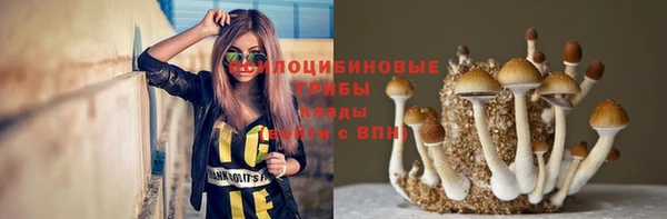 ПСИЛОЦИБИНОВЫЕ ГРИБЫ Арсеньев