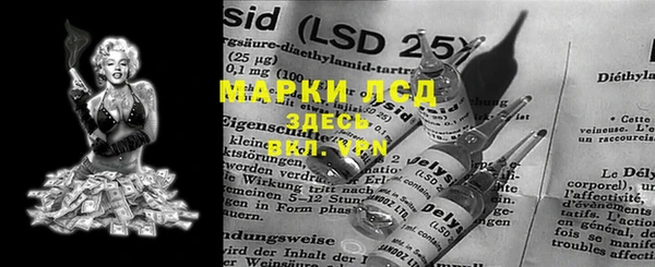 ПСИЛОЦИБИНОВЫЕ ГРИБЫ Арсеньев
