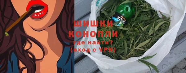 ПСИЛОЦИБИНОВЫЕ ГРИБЫ Арсеньев