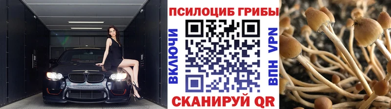 Галлюциногенные грибы Psilocybine cubensis  маркетплейс состав  Верещагино 